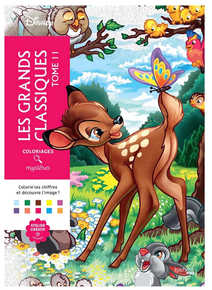 Livres coloriage mystère